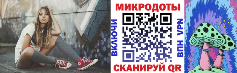 Галлюциногенные грибы Psilocybine cubensis  Карачев 